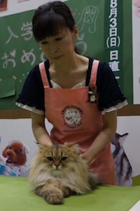 【お客様の声】５つの生活習慣を身につけてから医療費が大幅に軽減！（徳島県）佐野さん　保護猫活動ボランティア